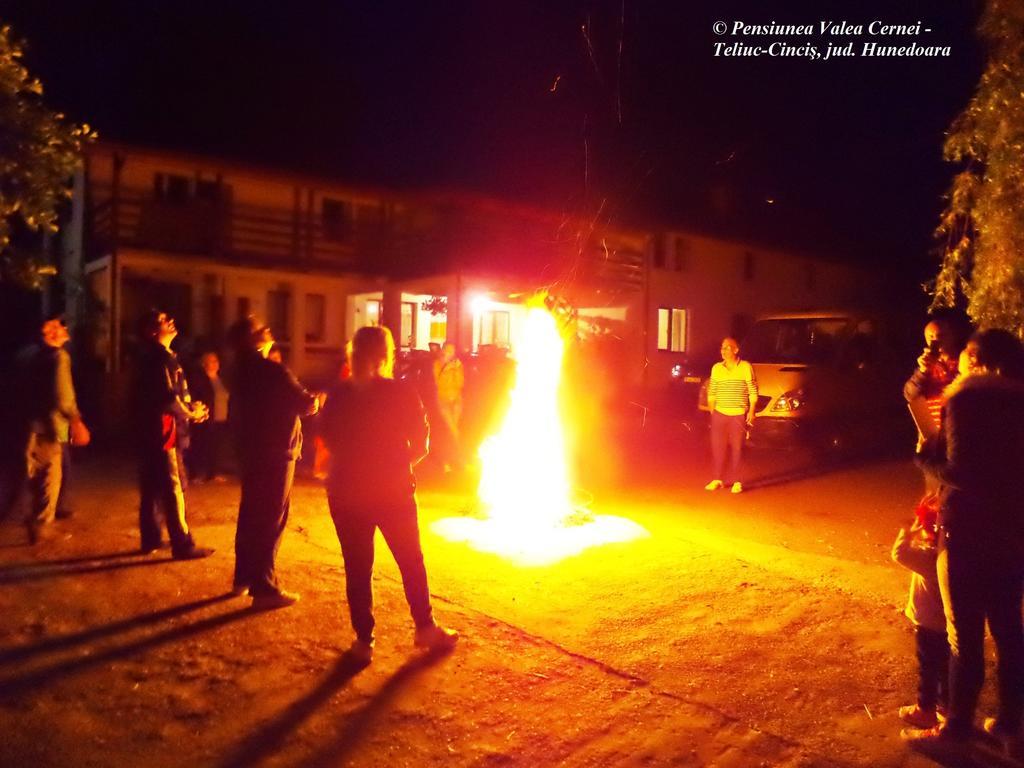 Pensiunea Valea Cernei Teliucu Inferior Екстер'єр фото