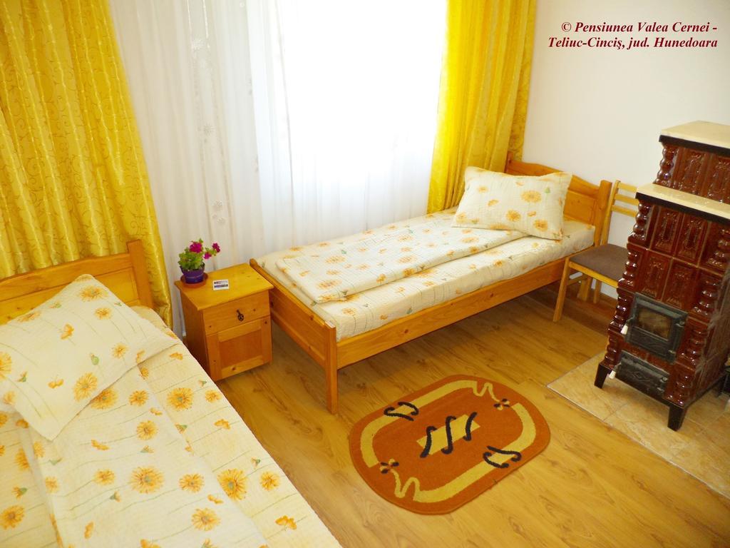 Pensiunea Valea Cernei Teliucu Inferior Номер фото