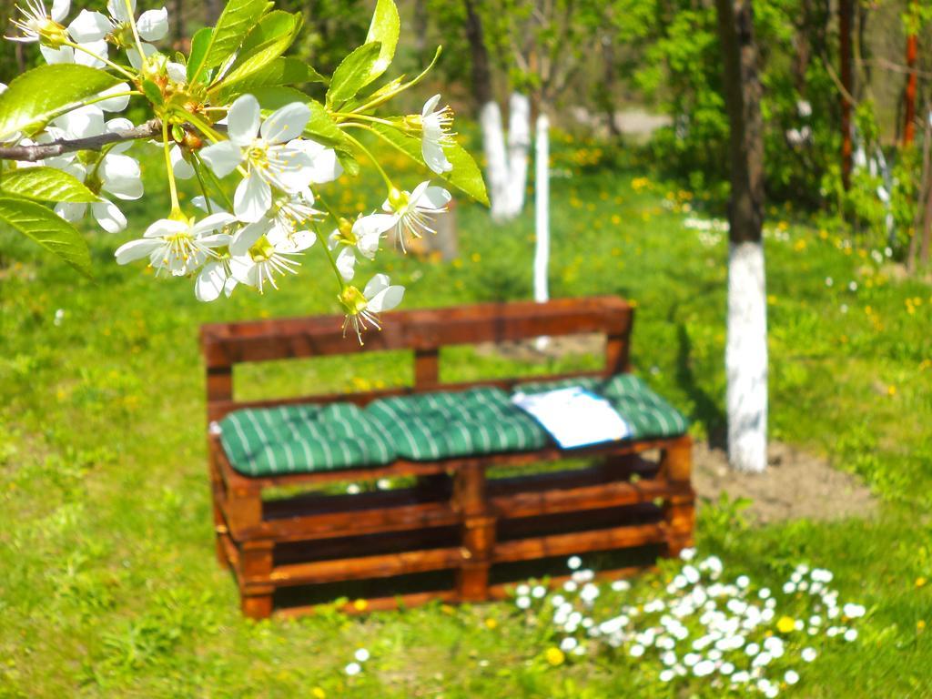 Pensiunea Valea Cernei Teliucu Inferior Екстер'єр фото